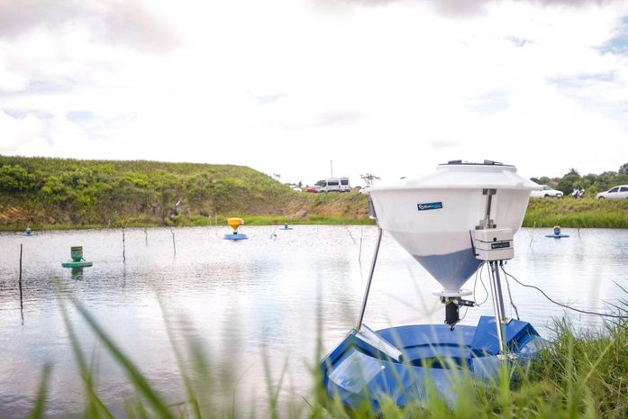 Inscrições abertas: 4º Seminário de Carcinicultura fortalece cultivo do camarão em Arapiraca