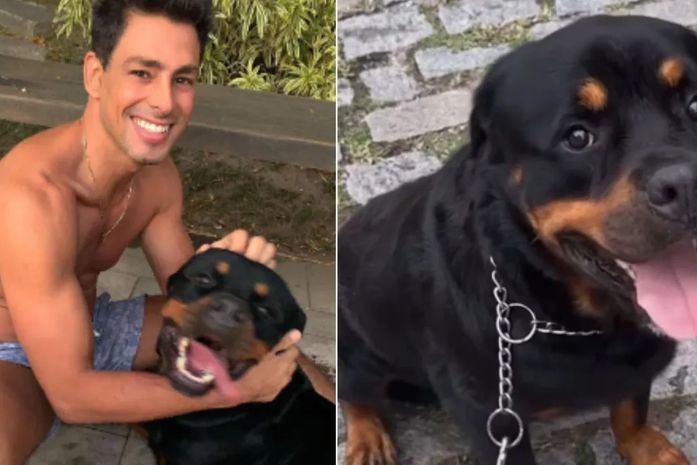 Cauã Reymond lamenta morte de cachorro após anunciar envenenamento: “Dolorido”