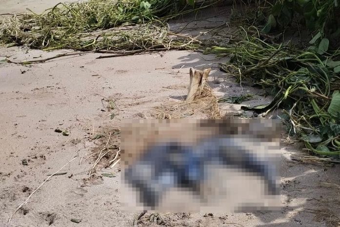 Ossada humana é encontrada por moradores em praia do Litoral Norte de AL; saiba detalhes