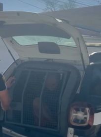 Preso idoso acusado de abusar sexualmente dos netos da companheira, em Maceió

