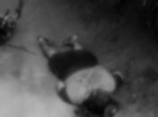 Ex-reeducando é assassinado a tiros em Lagoa da Canoa