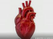 Doenças cardiovasculares matam 400 mil brasileiros por ano