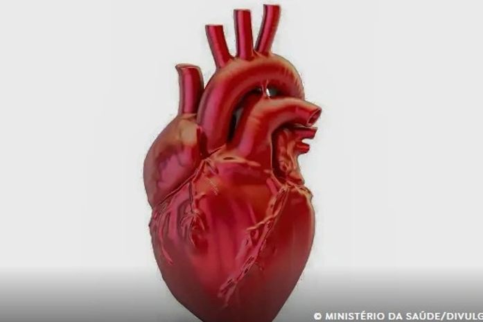 Doenças cardiovasculares matam 400 mil brasileiros por ano