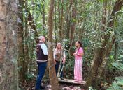 Promotores acompanham regularização de reserva ambiental no Litoral de Alagoas