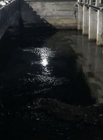 IMA autua BRK Ambiental por lançamento de esgoto no mar em Maceió
