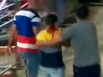 Rs=w:350,h:263,i:true,cg:true,ft:cover?cache=true