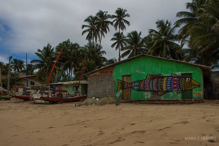 Balança da Garça Torta, litoral norte de Alagoas