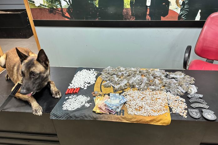 Maconha, cocaína, haxixe e skank: ações da PM resultam na apreensão de 50 kg de drogas e 25 armas em AL