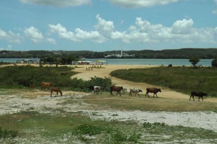 Penedo