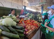 Ação da Sudes no Mercado da Produção, em Maceió