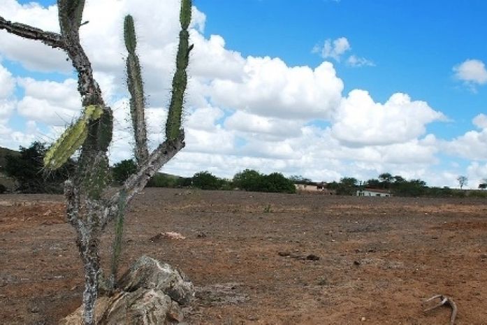 Seca em Alagoas