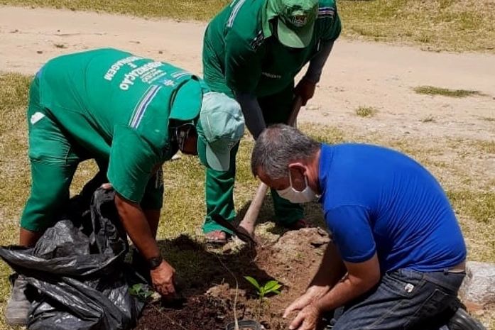 Plantamos,no solo de Palmares,as sementes de Baobá que vieram,diretamente, de Moçambique,Áfricas.