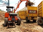 Safra 23/24 de cana de açúcar é finalizada em Alagoas