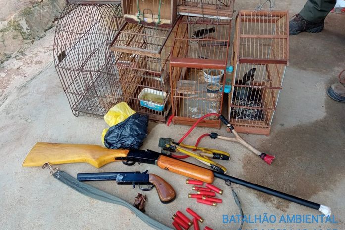 Durante fiscalização, PM apreende aves silvestres e três armas de fogo