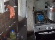 Sete crianças em situação de abandono são resgatadas de lar abusivo em município de AL