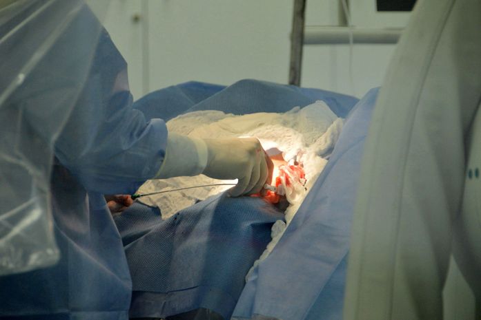 Transplantes de coração em AL quadruplicam nos primeiros seis meses de 2019