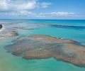 Pesquisa e Turismo se unem em projeto de Alagoas para preservar a segunda maior barreira de corais do mundo