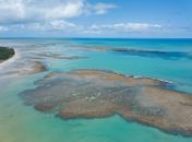 Pesquisa e Turismo se unem em projeto de Alagoas para preservar a segunda maior barreira de corais do mundo