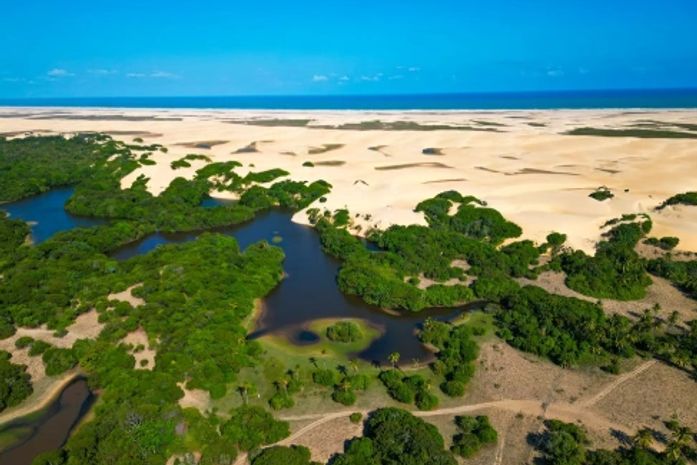 Piaçabuçu