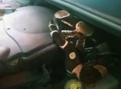 Cobra foi encontrada, por proprietário do veículo, enroscada no motor.