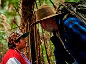 Fuga para a liberdade (Hunt For The Wilderpeaple) (2016)