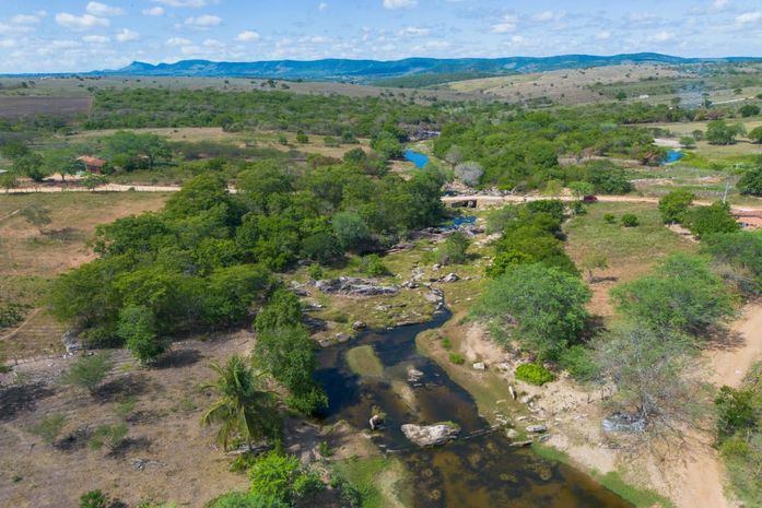 Girau do Ponciano realiza Semana do Meio Ambiente com conscientização e valorização da natureza