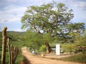 Arapiraca se destaca no mapa do turismo e pode receber mais investimentos do Governo