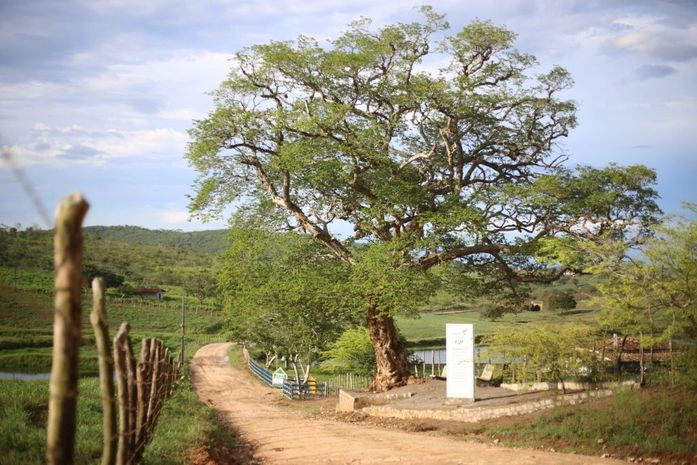 Arapiraca se destaca no mapa do turismo e pode receber mais investimentos do Governo