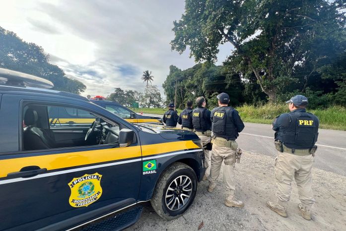 PRF retira nove animais soltos das rodovias BR-316 e BR-433 em operação de segurança viária