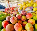 Alimentação saudável ajuda a reduzir fatores de risco para o câncer de mama, diz nutricionista
