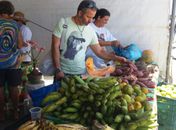 Feira Orgânica da Semarh acontece no domingo (11) na Ponta Verde