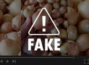 É falso que suco de cebola e alho cure falta de ar causada por Covid-19