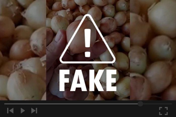 É falso que suco de cebola e alho cure falta de ar causada por Covid-19