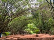 Parques de Maceió terão horário especial durante a Semana Santa