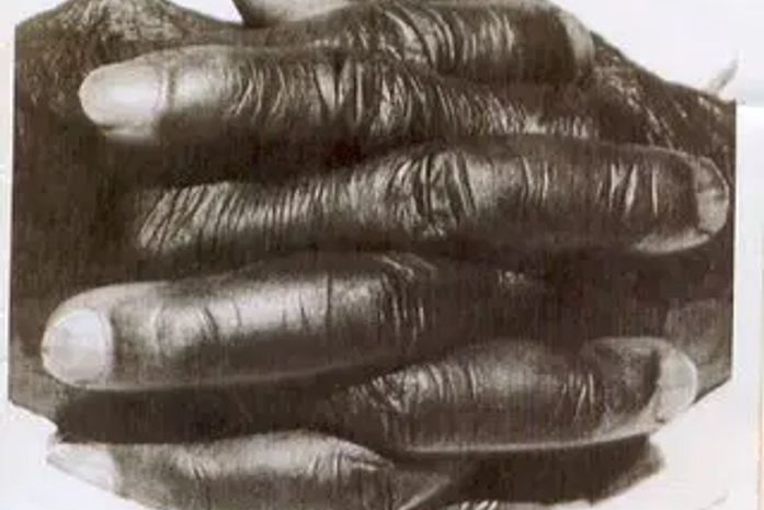 Governador, Paulo Dantas, depois das festas juninas, a gente pode falar sobre os quilombos alagoanos? Pode?