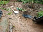 Retirada de barro que atingiu residência em Maragogi é iniciada