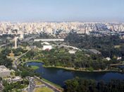 Covid-19: contagem de casos estabiliza e SP reabre parques na segunda