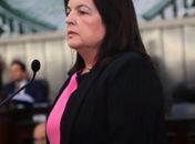 Deputada estadual Fátima Canuto é a propositora da sessão
