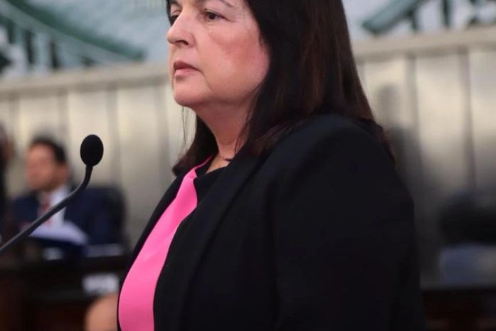 Deputada estadual Fátima Canuto é a propositora da sessão