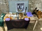 Polícia Militar apreende drogas em Maceió, Arapiraca e Olho d’Água das Flores