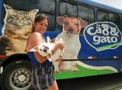 Programa Castra Pet será realizado mensalmente em Penedo