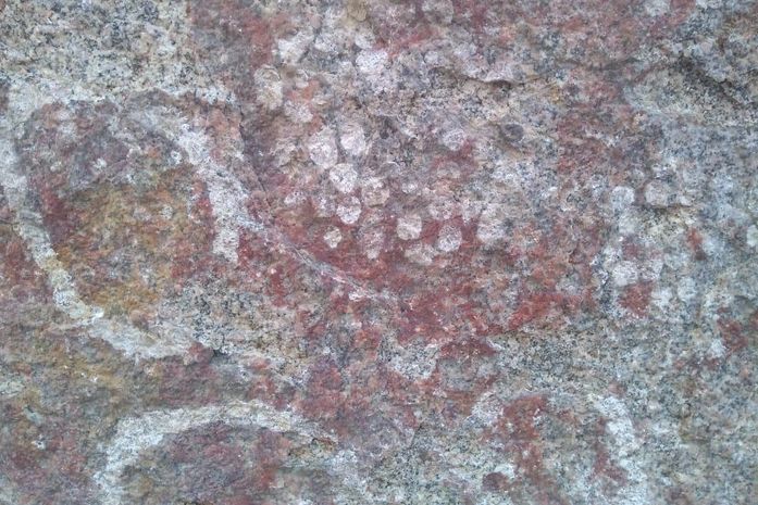 FPI descobre mais três novos sítios arqueológicos no Sertão
