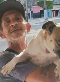 Enquanto o Brasil chora pelo Orelha, Guirra dos Cachorros luta para que outros não tenham o mesmo destino em Capela/AL