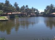 Lagoa da Anta, na Jatiúca
