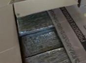 Polícia apreende cerca de 400 kg de drogas em residência em Arapiraca após denúncia