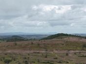Acusado de devastar 800 campos de futebol de Caatinga é preso após investigação do MP e PF; veja vídeo