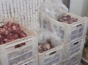 Risco à saúde:  400 kg de carnes estragadas são apreendidos em supermercado de Maceió