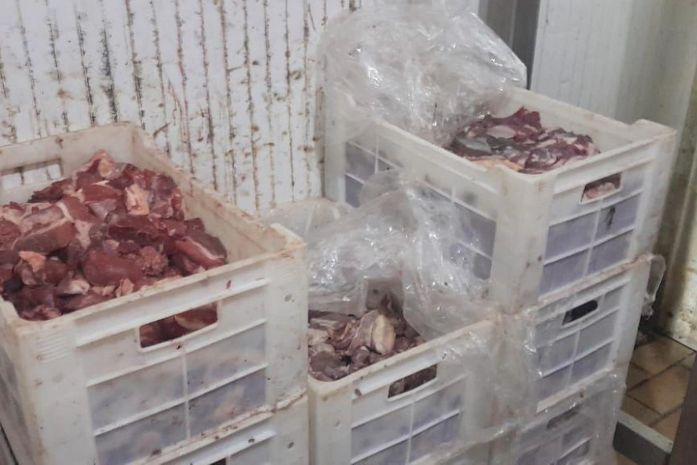 Risco à saúde: 400 kg de carnes estragadas são apreendidos em supermercado de Maceió