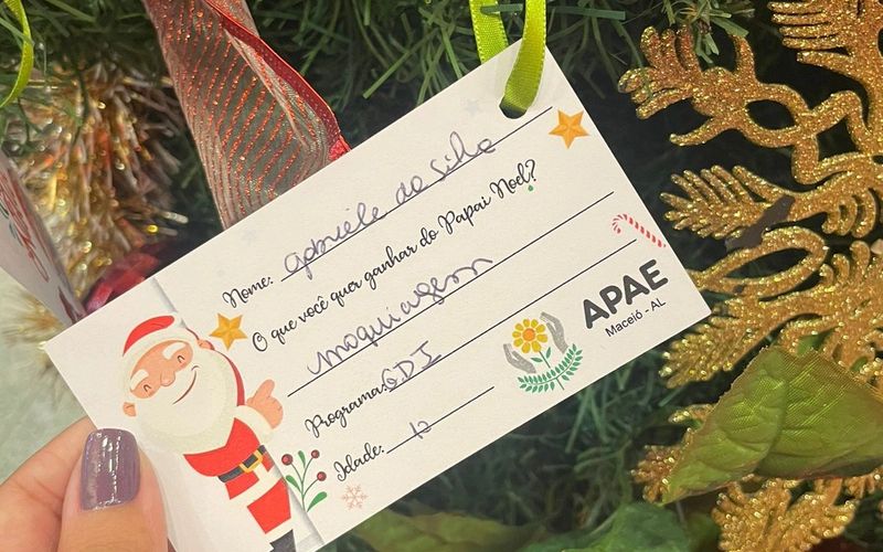Campanha “Padrinhos de Natal”, em parceria com a APAE, está de volta ao  Parque Shopping