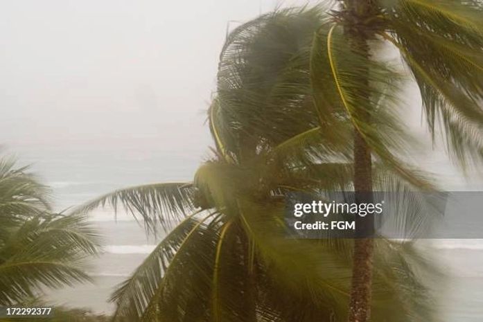 Semarh emite alerta de ventos que podem chegar a até 50 km/h em Alagoas